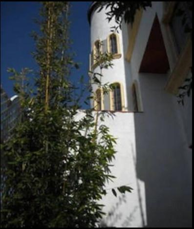 טיחואנה Welcome To Casa Viva Mexico 3-Bedrooms 2-Bathroms 6-Guests Close To Shoping Center & Beach מראה חיצוני תמונה